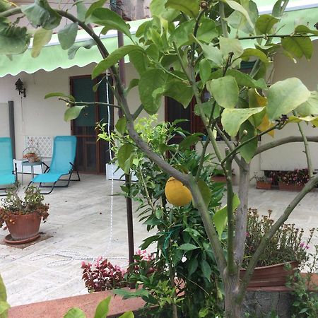 Oplontis' Garden - Holiday Apartment Near Pompeii Торе Анунциата Екстериор снимка
